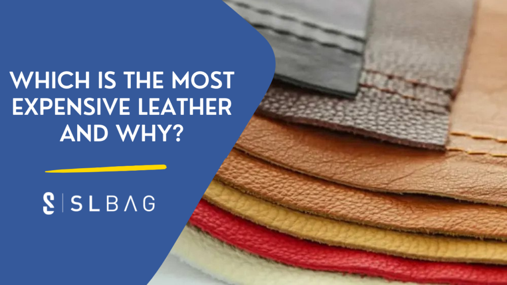 Which Is The Most Expensive Leather and Why?