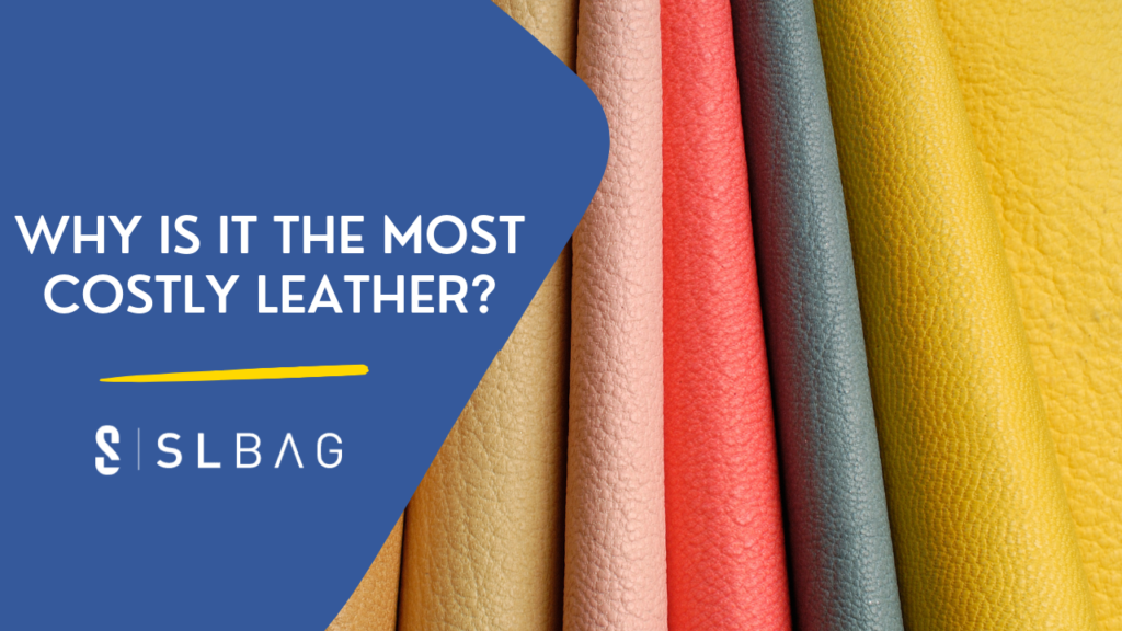 Why Is It The Most Costly Leather?
