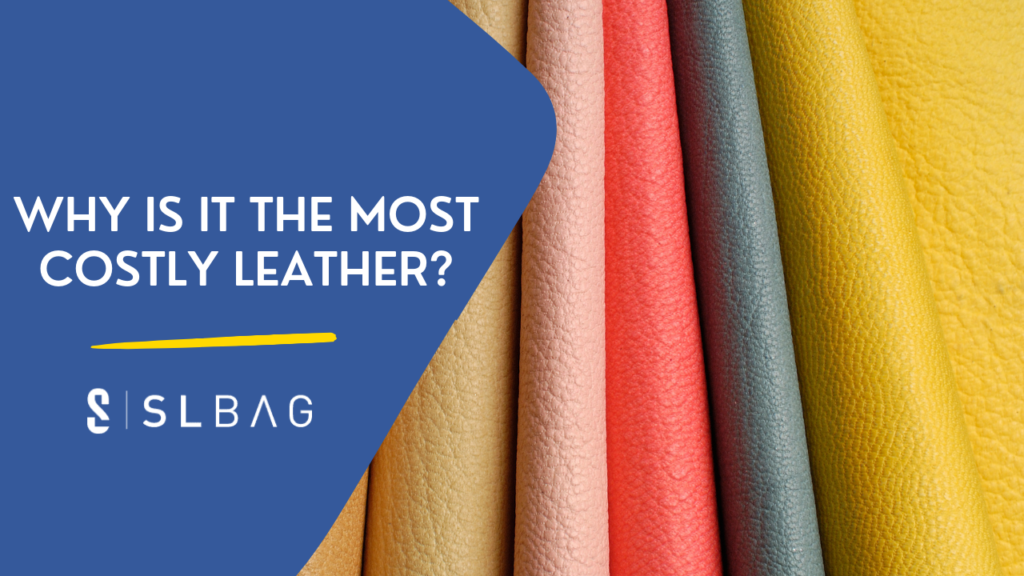 what-is-the-most-expensive-leather-in-2022-slbag